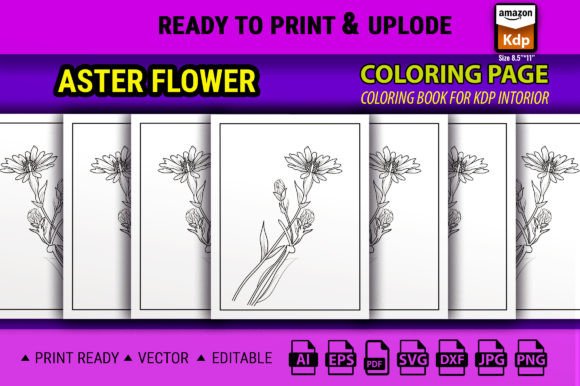 Aster Flower Coloring Pages Graphics
