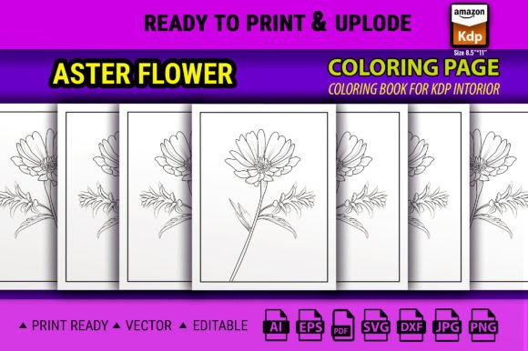 Aster Flower Line Drawing Coloring Pages Graphics