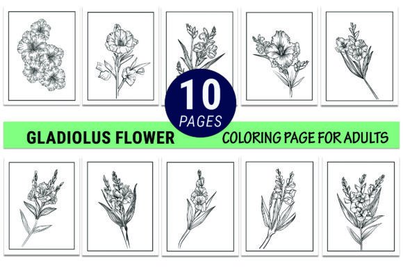 Gladiolus August Birth Flower Graphics & Coloring Pages