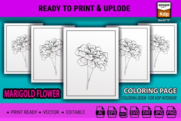 Marigold Coloring Pages for Kids: Graphics & Coloring Pages