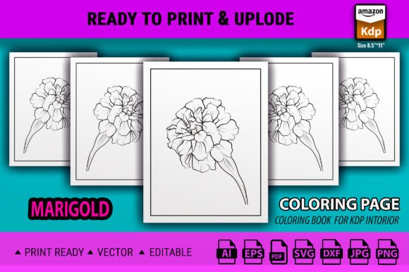 Marigold Flower Coloring Pages Graphics