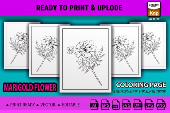 Marigold Flower Coloring Sheet: Graphics & Coloring Pages