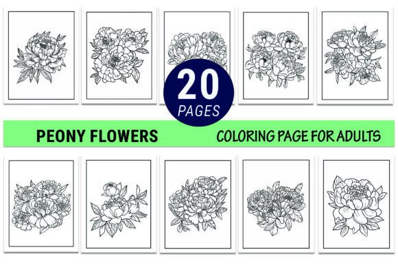 Peony Flower Line Drawing Coloring Pages Graphics