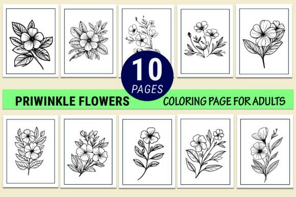 Periwinkle Flower Coloring Pages Graphics